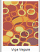 Click on design to open it